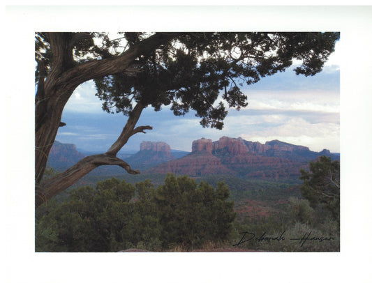 Crimson Twilight Note Card Set